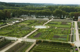 Versailles cultive son jardin