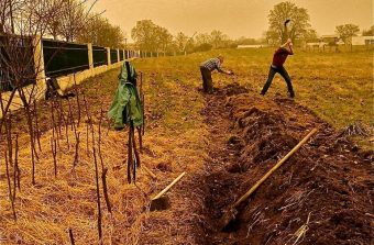 Les vignerons de la fac