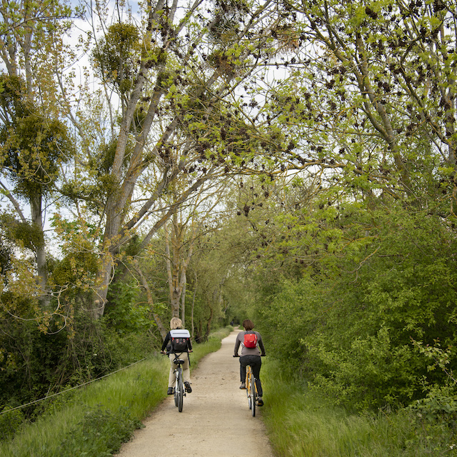 Sur les sentiers de la Seine à Vélo / © Jérômine Derigny pour Enlarge your Paris