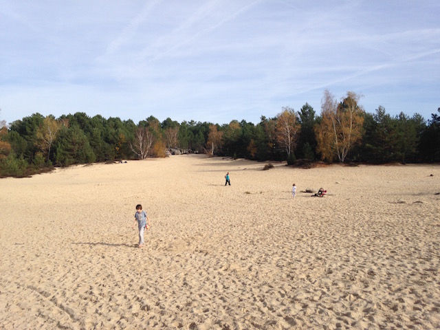 Sables du Cul du chien dans la Forêt de Fontainebleau / © Steve Stillman