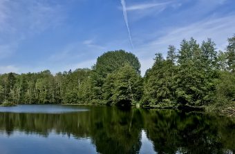 Randopolitain : A travers les marais de l’Essonne, de la gare RER de Mennecy à celle de Ballancourt