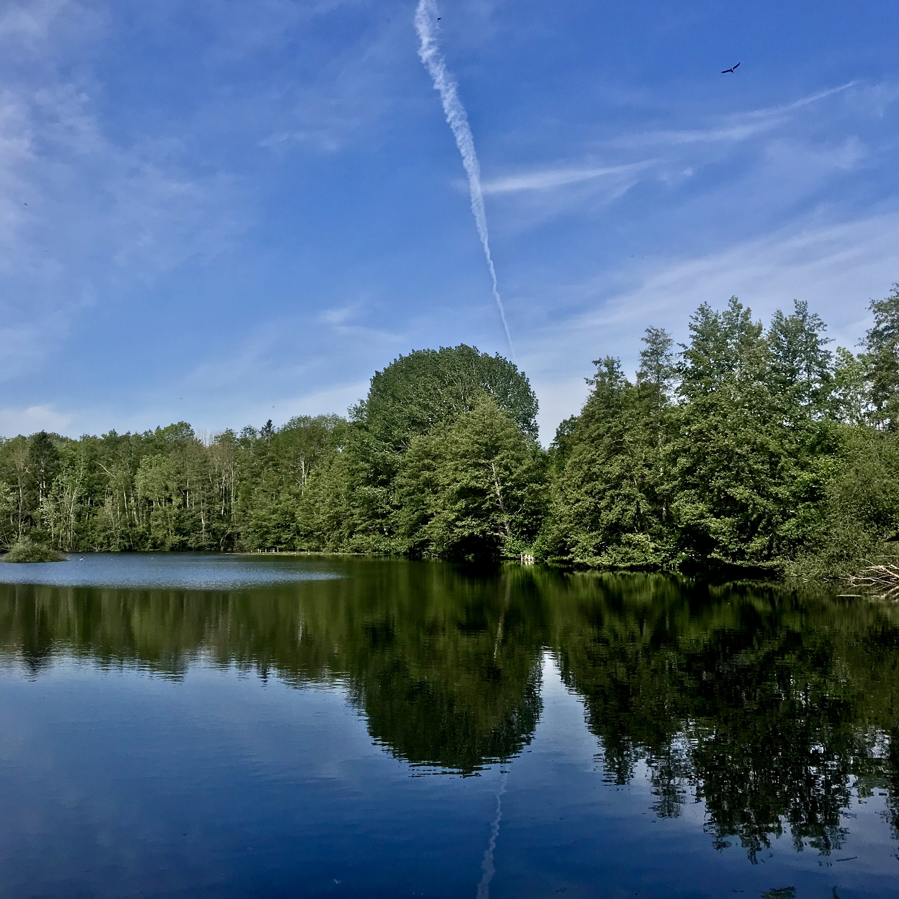 Les marais de l'Essonne / © Vianney Delourme pour Enlarge your Paris