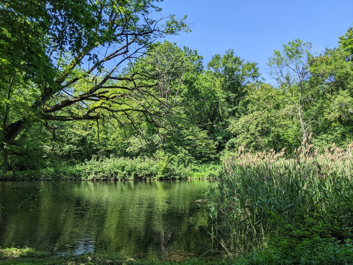 Les paysages des bords de Marne / © Rémi Belot pour Enlarge your Paris