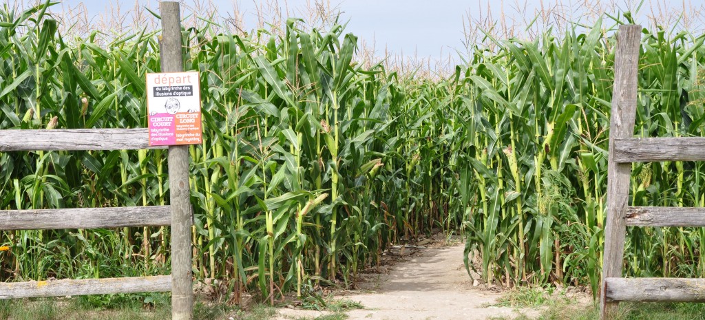 Labyrinthe à la Ferme de Gally / Crédit : onfaitquoimaman.fr