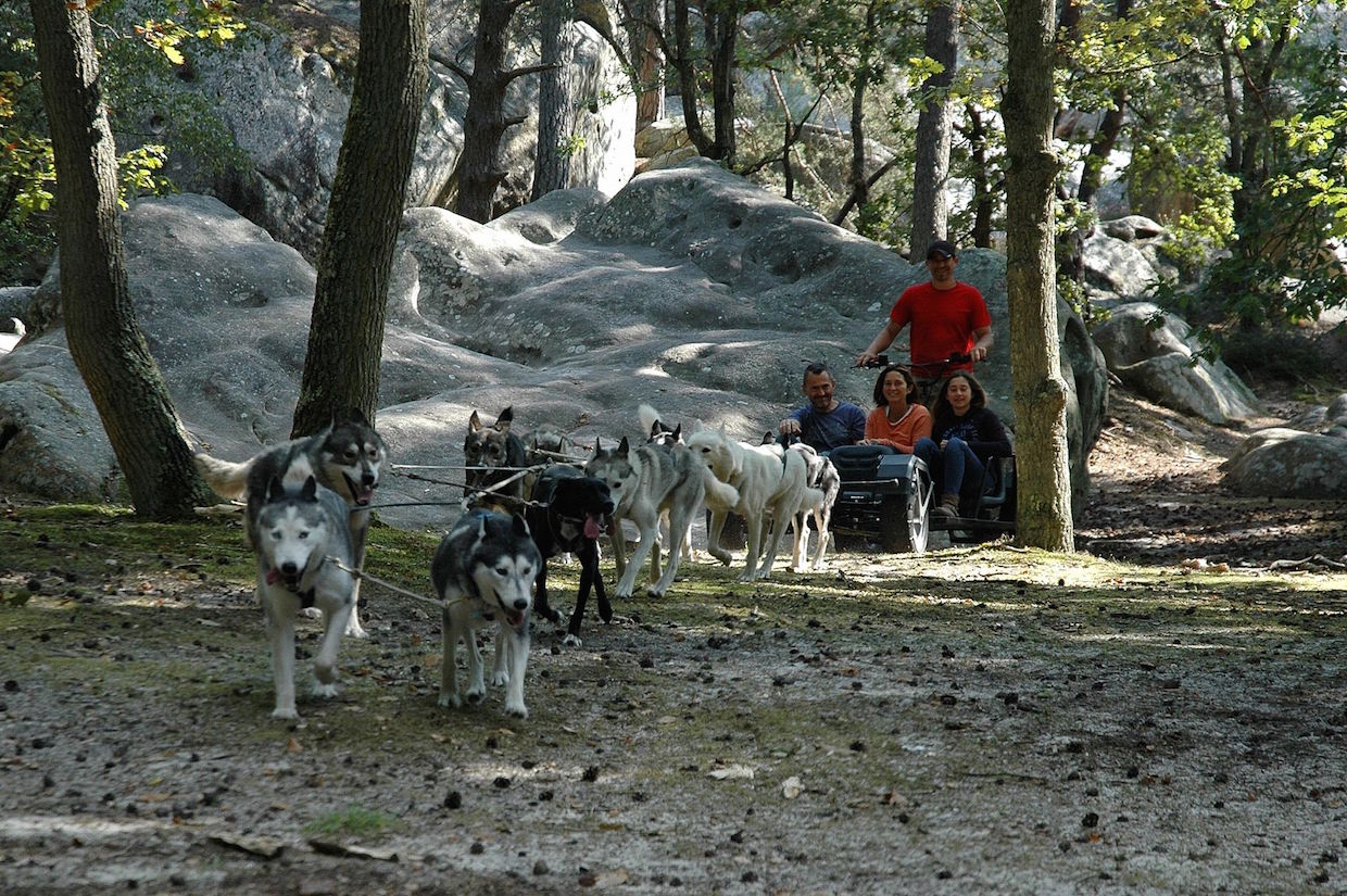 Christian Perlwitz, l'unique musher d'Île-de-France / © Christian Perlwitz