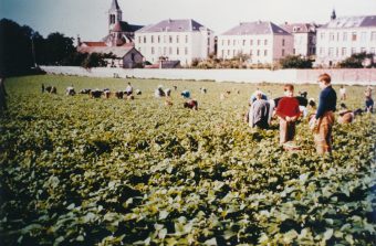 Des mini-films pour parfaire votre connaissance de l’Île-de-France agricole