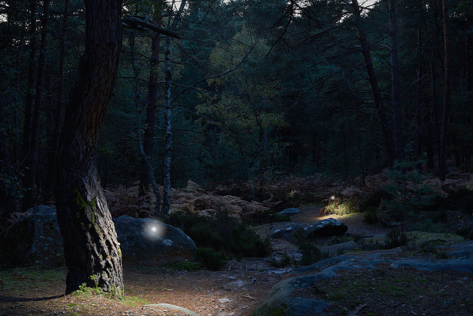 Wandering Spirits, forêt de Fontainebleau / © Benoît Lapray