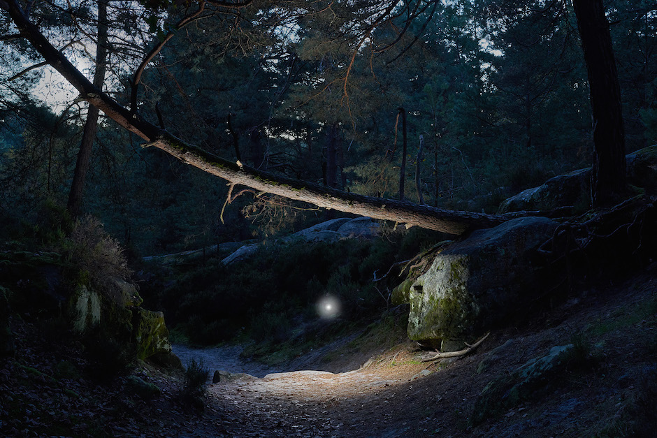 Wandering Spirits, forêt de Fontainebleau / © Benoît Lapray