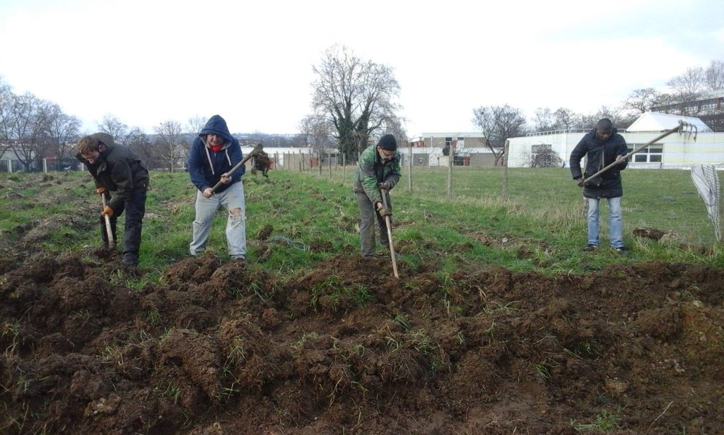 Chantier de la vigne de Clinamen à Villetaneuse / © Clinamen