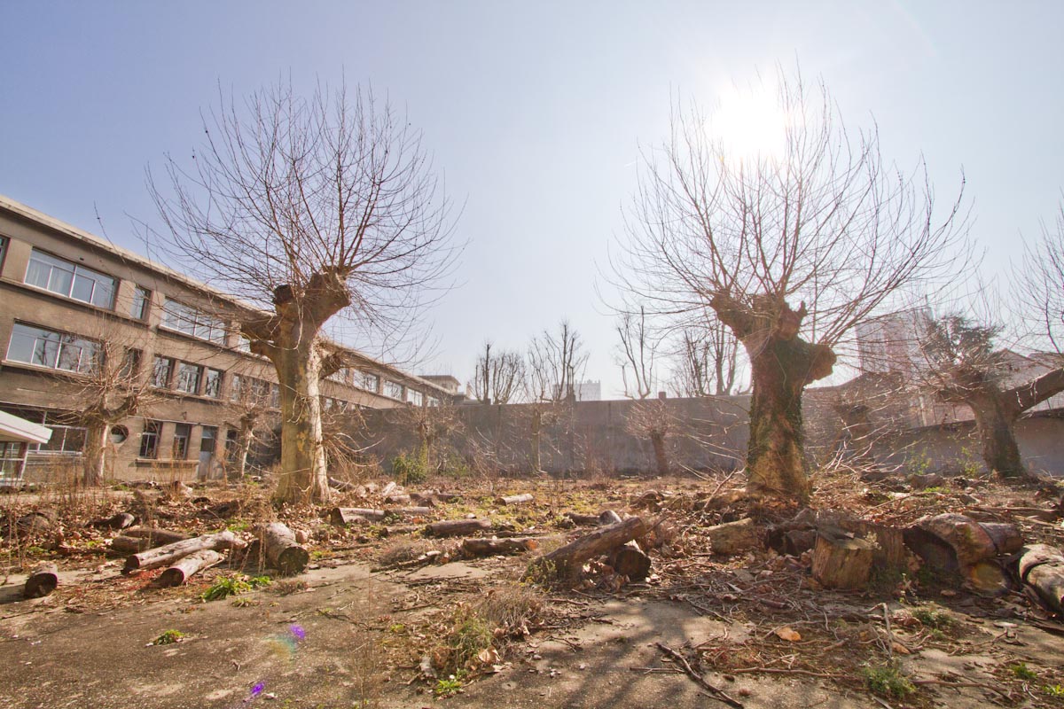 Collège Jean Louis à Gentilly / © Dominique Martigne