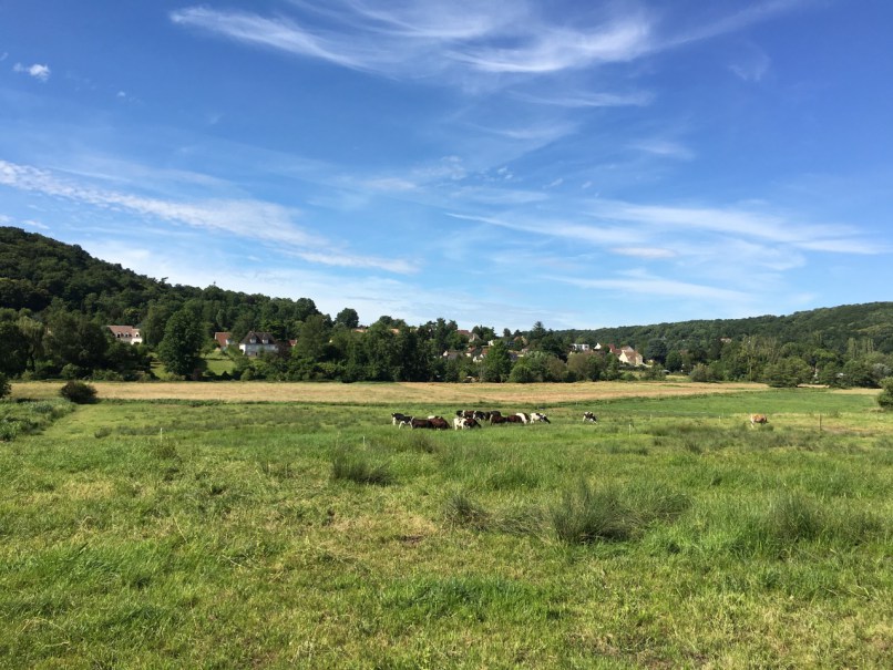 Vallée-de-Chevreuse / © Rando Navigo