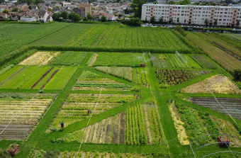 L’ancien champ de salades devenu ferme agriculturelle à Saint-Denis