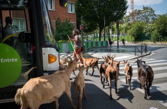 Un oeil sur la banlieue avec la photographe Jérômine Derigny