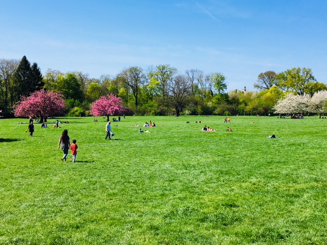 Le parc de Sceaux / © Enlarge your Paris