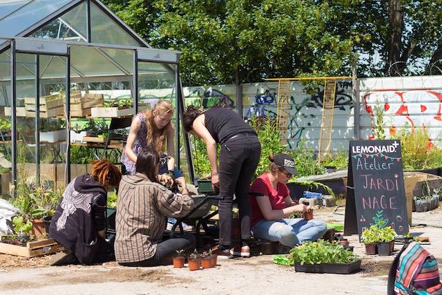 Les équipes de la SAUGE (Société d'agriculture urbaine généreuse et engagée) qui seront présentes pour Inspirations végétales à Montrouge / © La SAUGE