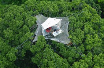 Cime City, une ville éphémère dans les arbres à Evry