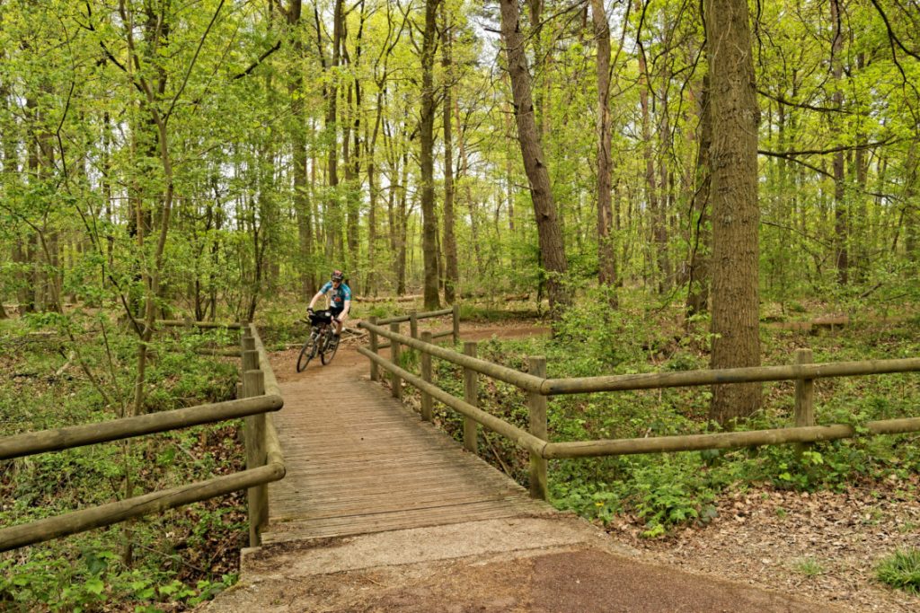 La forêt de Sénart / © Sortir de Paris à vélo