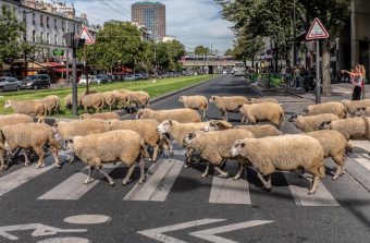 Pourquoi une Transhumance du Grand Paris ?