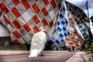 La Fondation Vuitton dans le bois de Boulogne / © Miwok (Creative commons - Flickr)