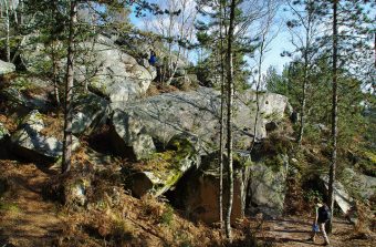 Neuf façons de profiter de la forêt de Fontainebleau