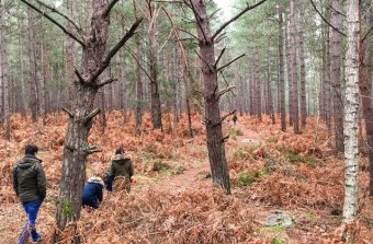 Des balades en forêt autour de Paris pour profiter des couleurs de l’hiver