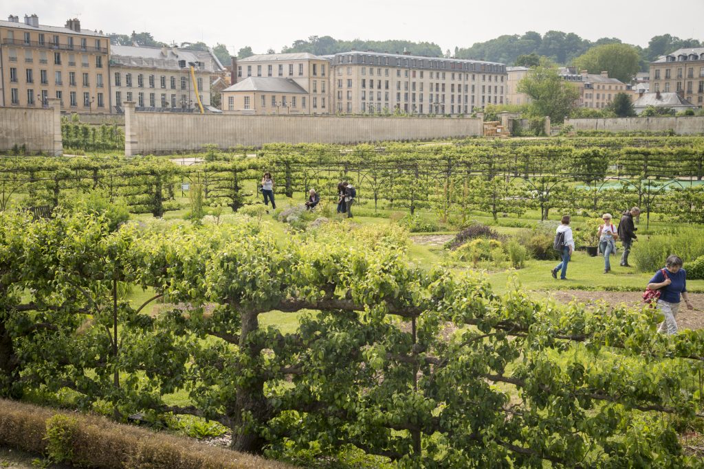 Le Potager du Roi / © Jéromine Derigny pour Enlarge your Paris