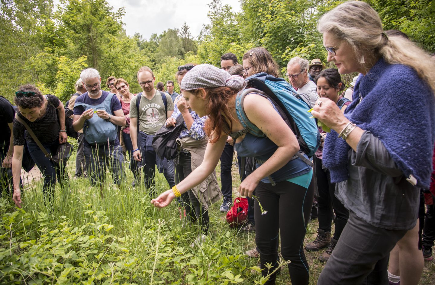 Les plantes invasives sont-elles des lanceuses d’alerte