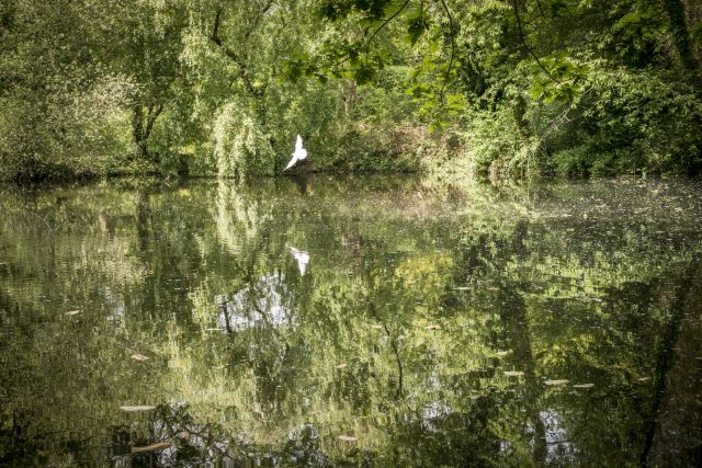 La réserve naturelle régionale du bassin de la Bièvre dans les Yvelines / ©  Jéromine Derigny pour Enlarge your Paris