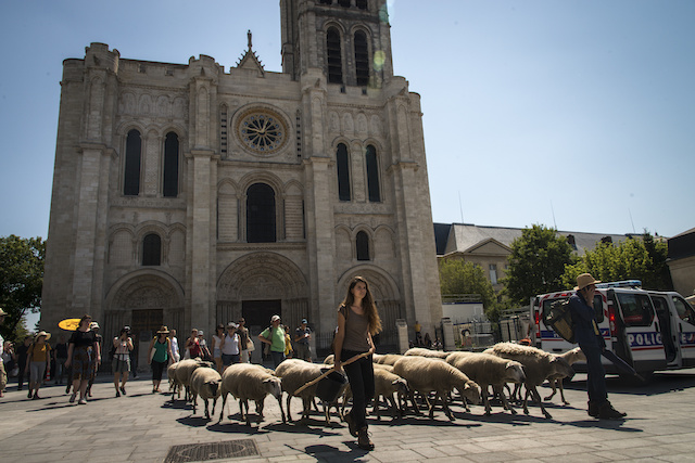 Départ de la Transhumance du Grand Paris depuis le parvis de la basilique Saint-Denis le 6 jullet avec Guillaume Leterrier, co-fondateur des Bergers Urbains, et Marie-Anne Corniou, bergère à Marseille / © Jérômine Derigny