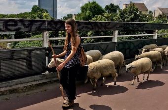 La Transhumance du Grand Paris fait les gros titres