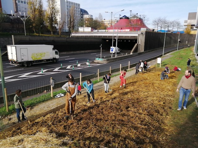 Plantation d'une mini-forêt le long du boulevard périphérique par l'association Boomforest en décembre 2019 / © Boomforest