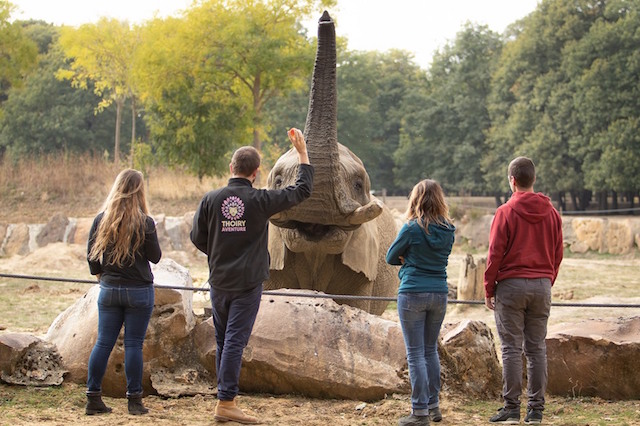 Le Zoo Safari de Thoiry / © Zoo Safari de Thoiry