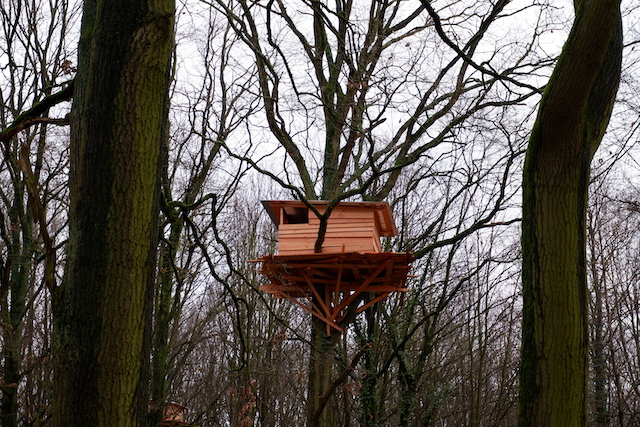 Les forêts du futur