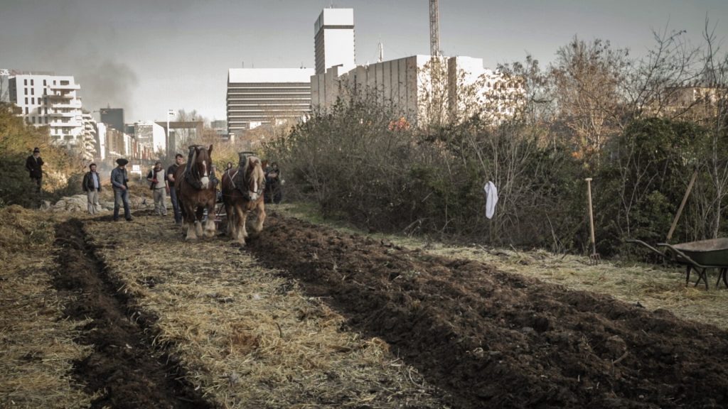 Travaux des champs à la Ferme du bonheur à Nanterre / © Justine Bourgade