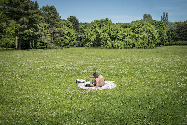 Le parc Georges-Valbon à La Courneuve en Seine-Saint-Denis / © Jérômine Dérigny pour Enlarge your ParisStade de France au Bourget. Parc Georges Valbon