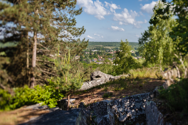 Plateau de la Beauce dans le parc naturel du Gâtinais / © Thierry Houyel