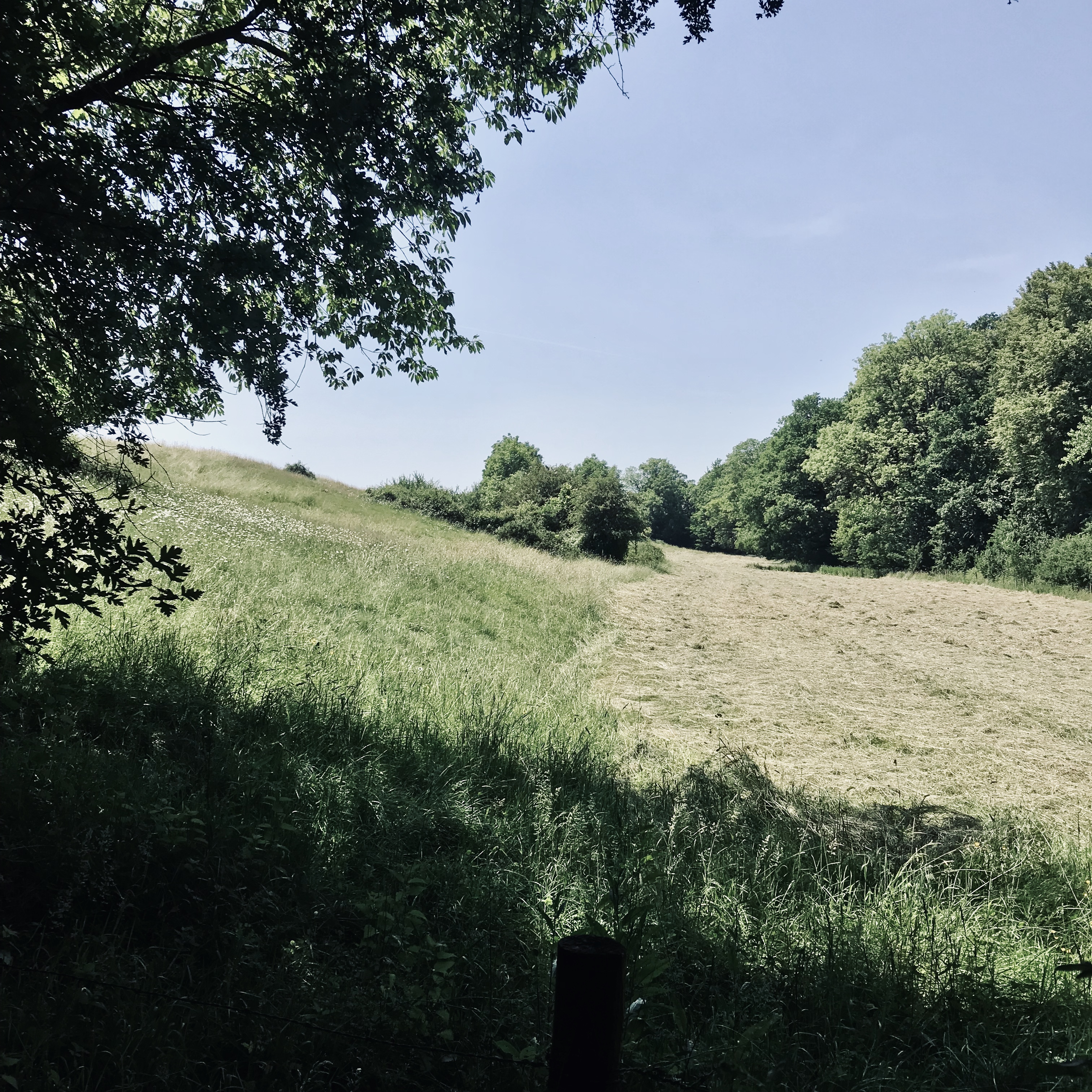 Le Mesnil-Saint-Denis, près de Trappes