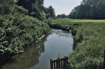 Une journée en Vallée de Chevreuse, de la gare de Saint-Rémy à celle de La Verrière