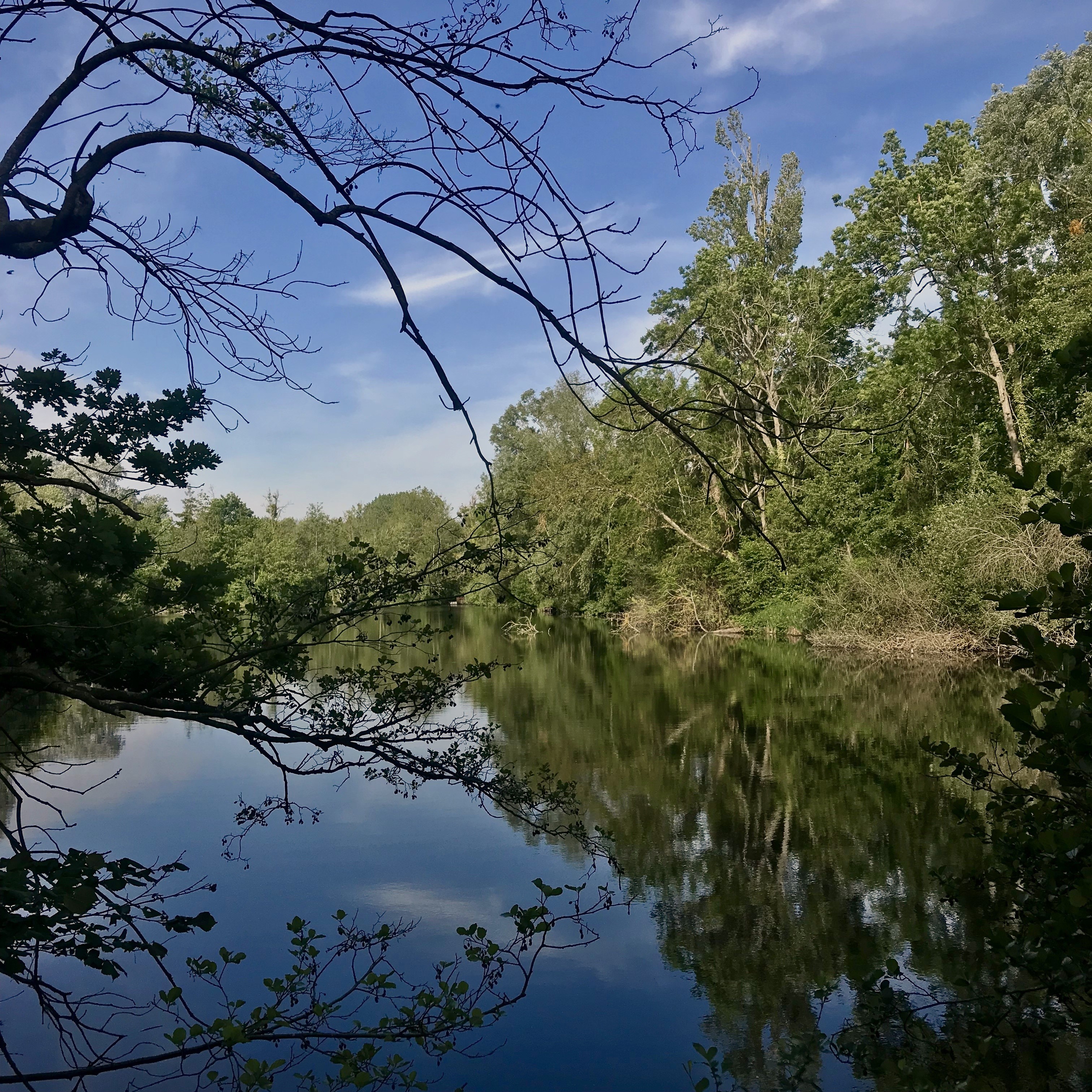 Les marais de l'Essonne (91)