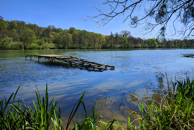 La Seine sauvage en Seine-et-Marne / © Helloways