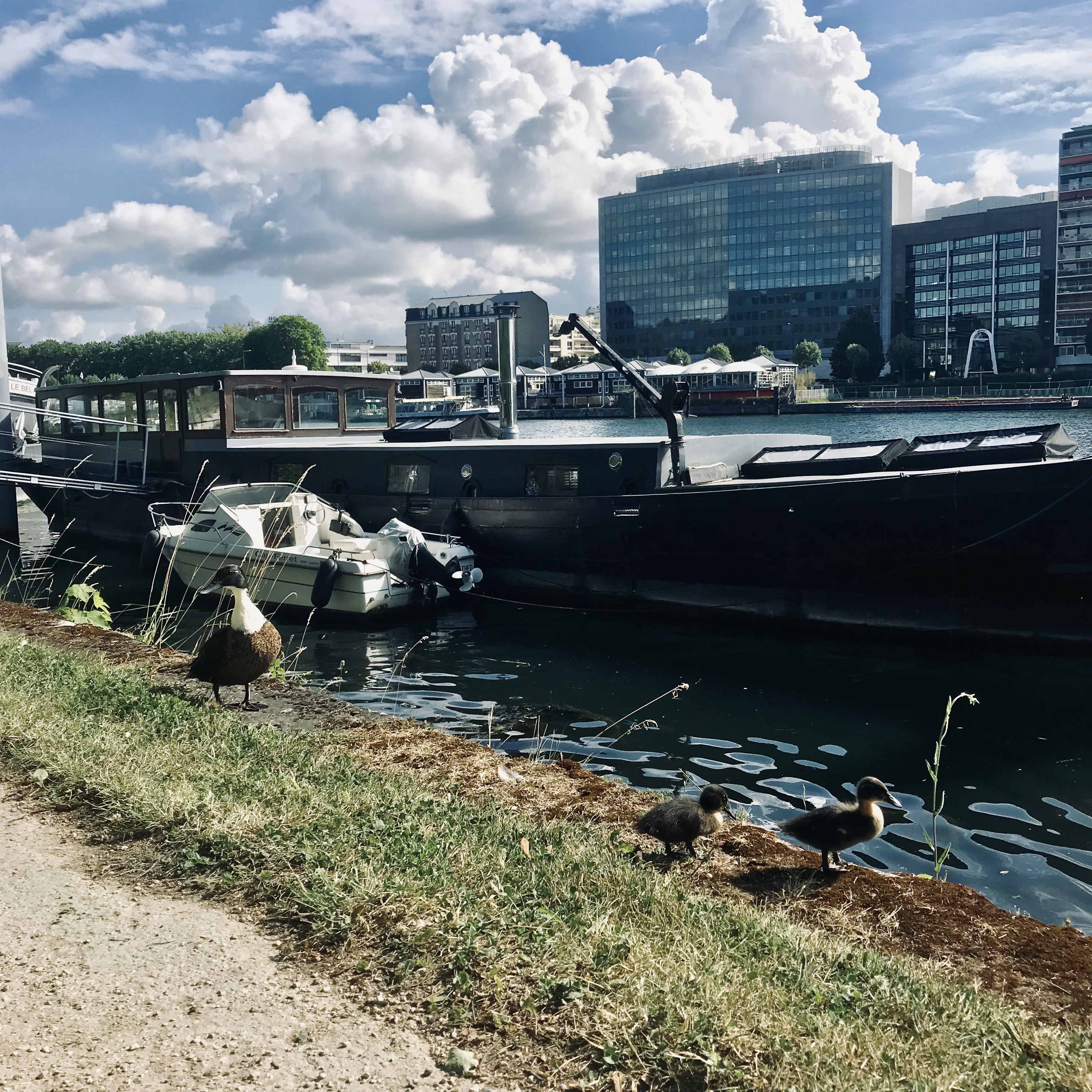 Chemin de halage sur l'Île de Monsieur / © Vianney Delourme pour Enlarge your Paris