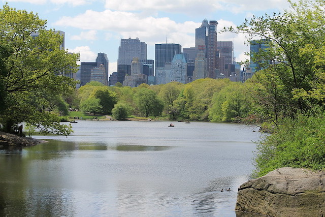 Central Park à New York / © Elias Rovielo (Creative commons - Flickr)