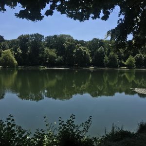 Afficher l’image source