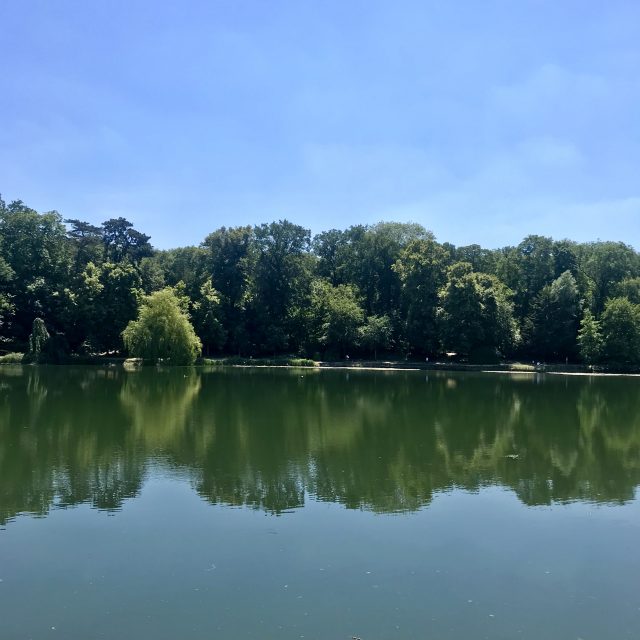 Les étangs de Corot en forêt de Fausses-Reposes, accessibles par la gare de Ville-d'Avray (Lignes L et U) / ©. Vianney Delourme pour Enlarge your Paris