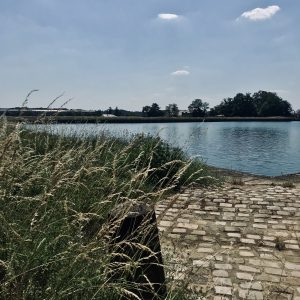 Afficher l’image source