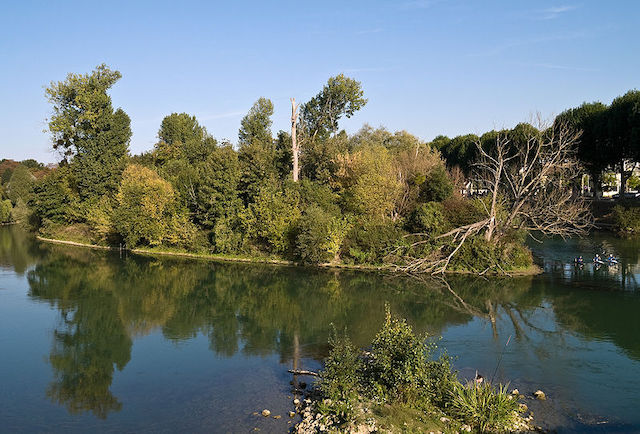 L'île Refuge à Chelles sera au menu de la balade "Au fil de la Marne aristocratique, industrielle et olympique" du 18 juillet / © Myrabella (Wikimedia commons)