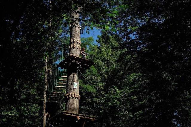 Le parc Indian Forest à Morainvilliers / © Florian Dacheux