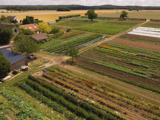 Les Jardins de Courance en Essonne / © Les Jardins de Courance