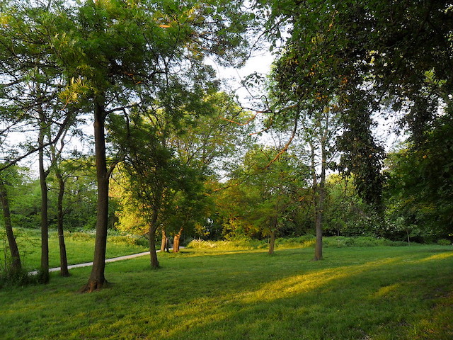 Le parc des Beaumonts, le pont d'arrivée de notre balade à travers Montreuil / © Nadareg (Creative commons - Flickr)