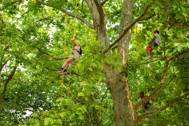 Séance d'accrobranche au parc La Courneuve / ©  Conseil départemental de Seine-Saint-Denis 